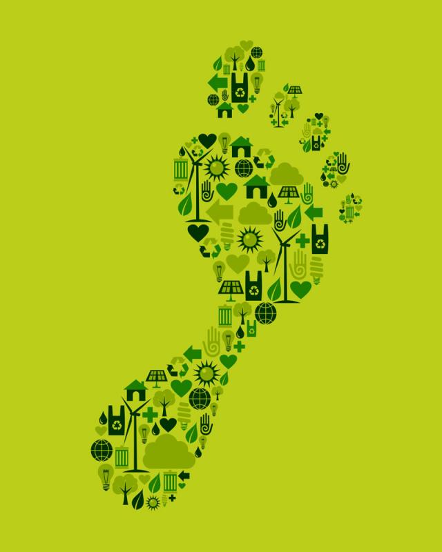 carbon footprint carbon footprint